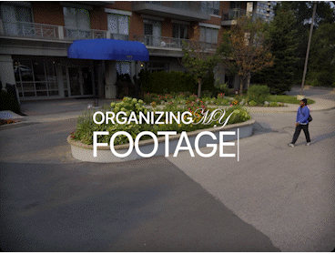 GIF 6